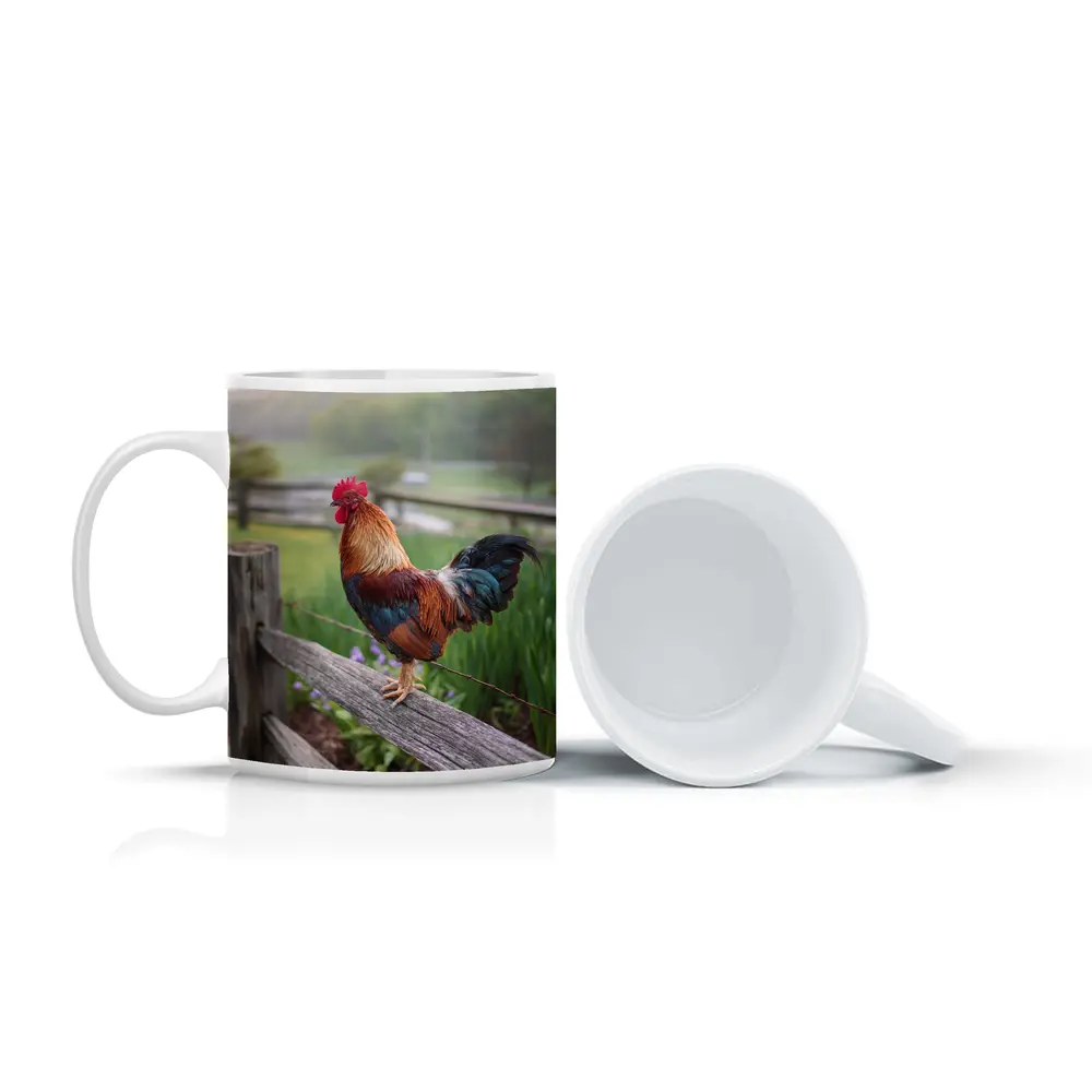 Rooster Perched On Wooden Fence Farm – Mugs