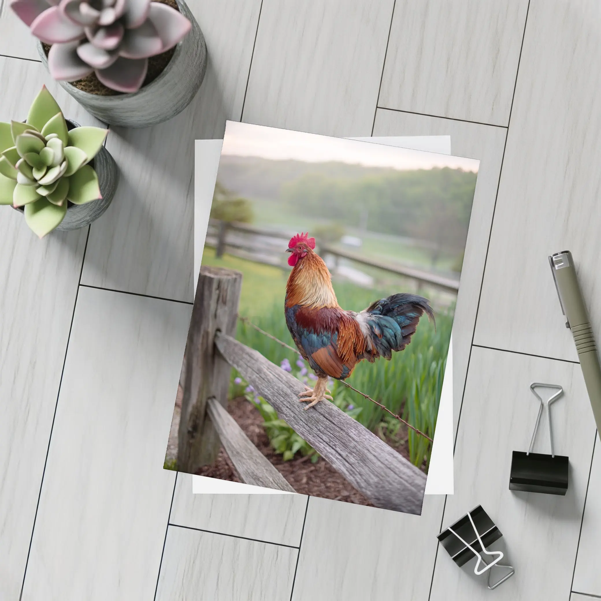 Rooster Perched On Wooden Fence Farm – Postcards