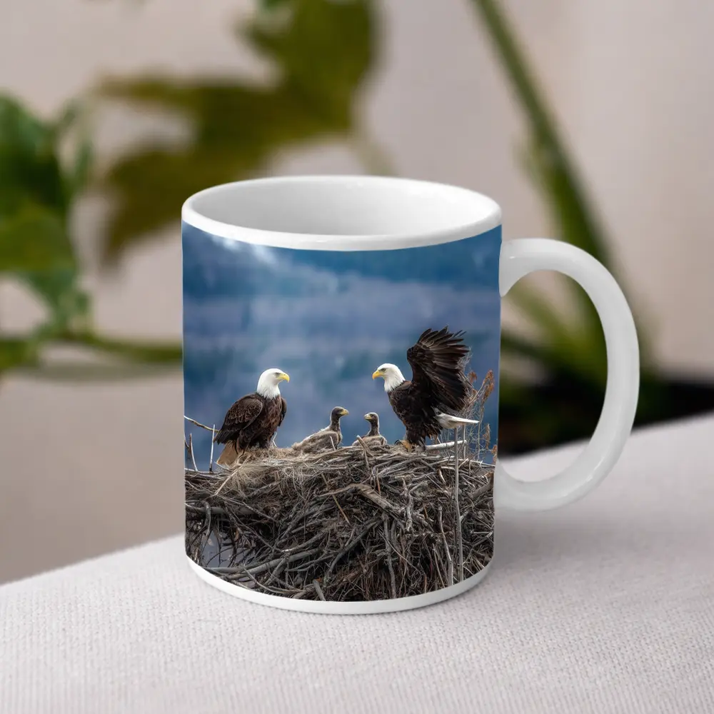 Bald Eagles Nesting With Mountain Background – Mugs