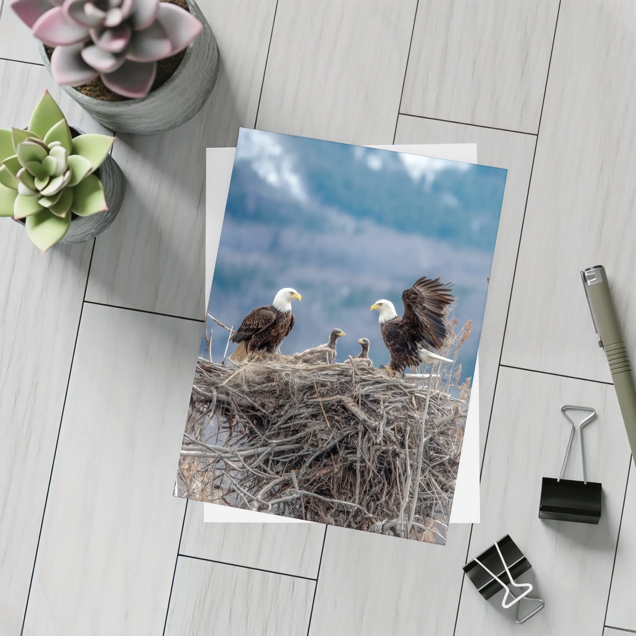 Bald Eagles Nesting With Mountain Background – Postcards