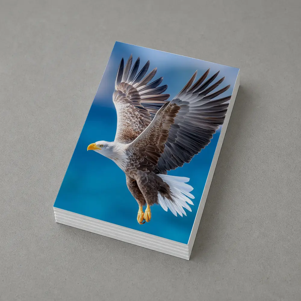 Bald Eagle Flying Over Blue Sky – Postcards