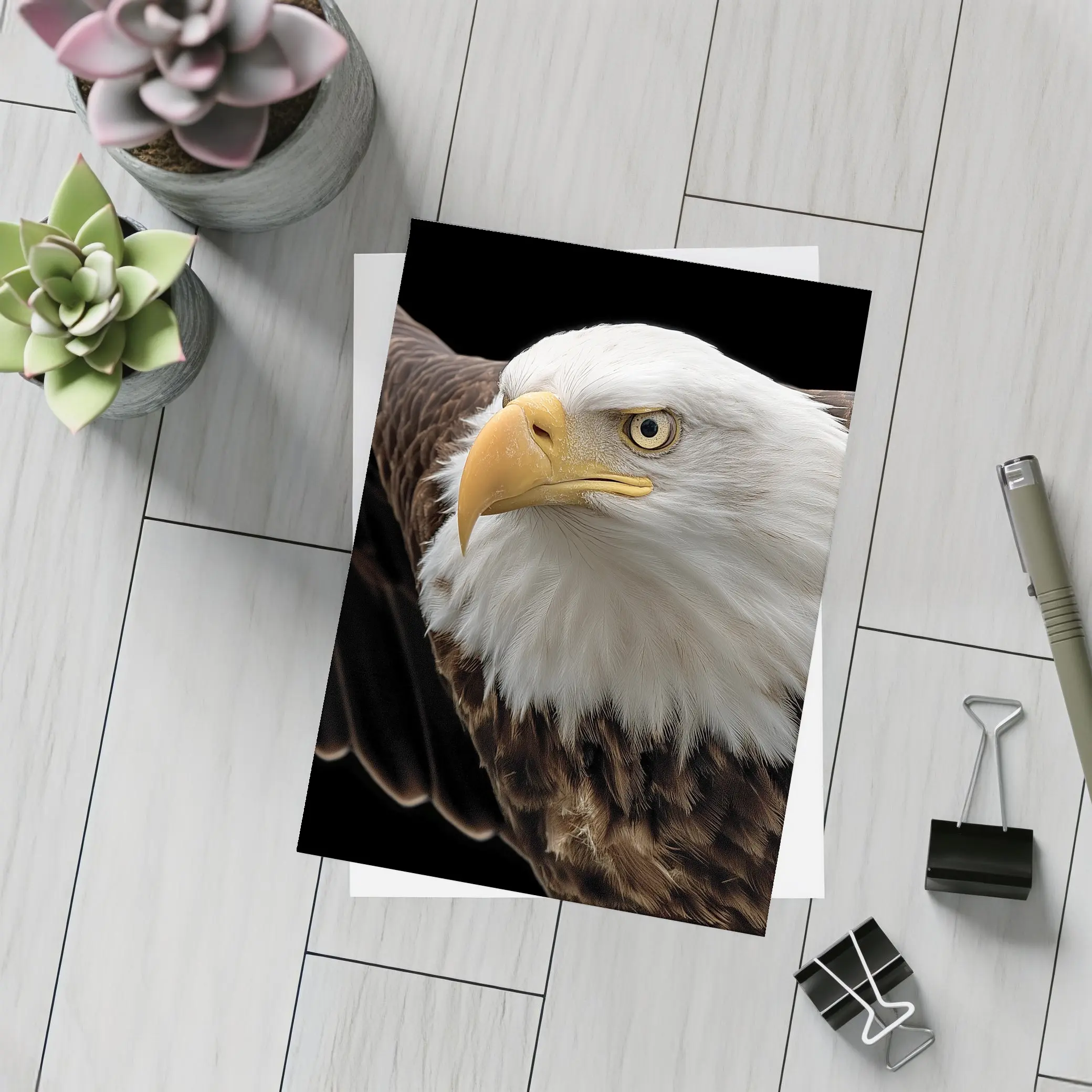 Bald Eagle Flying Against Dark Background – Postcards