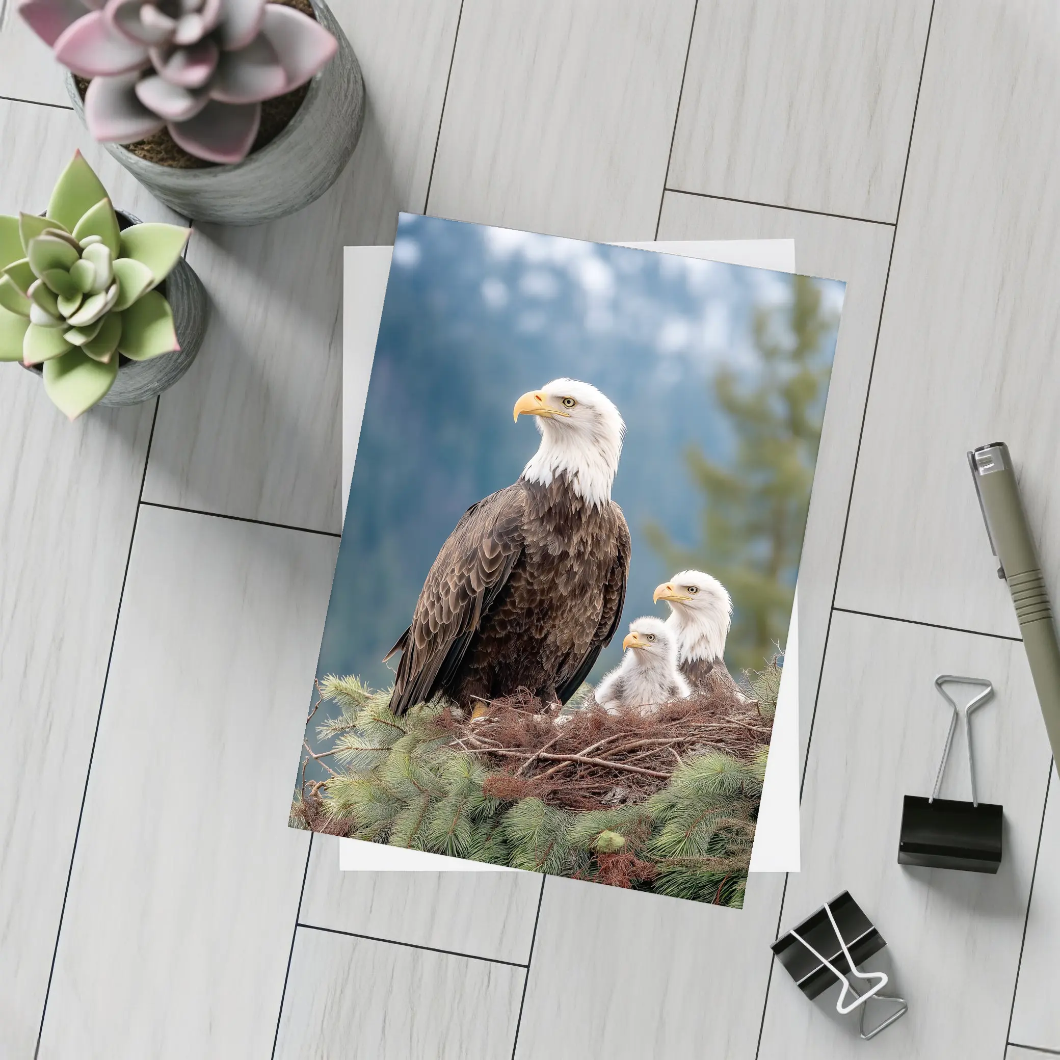 Bald Eagles Family Nest Snowy Mountain Forest – Postcards