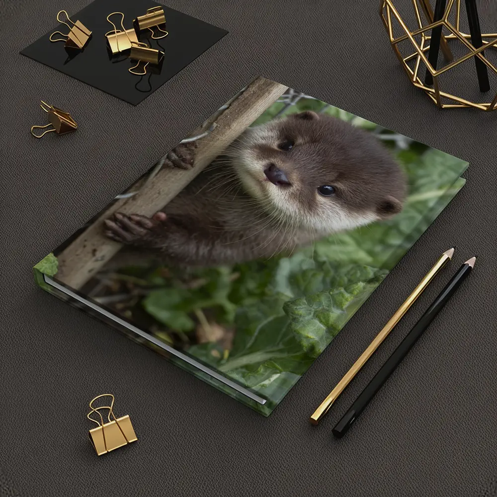 Baby Otter Peeking Through Wooden Fence – Notebooks