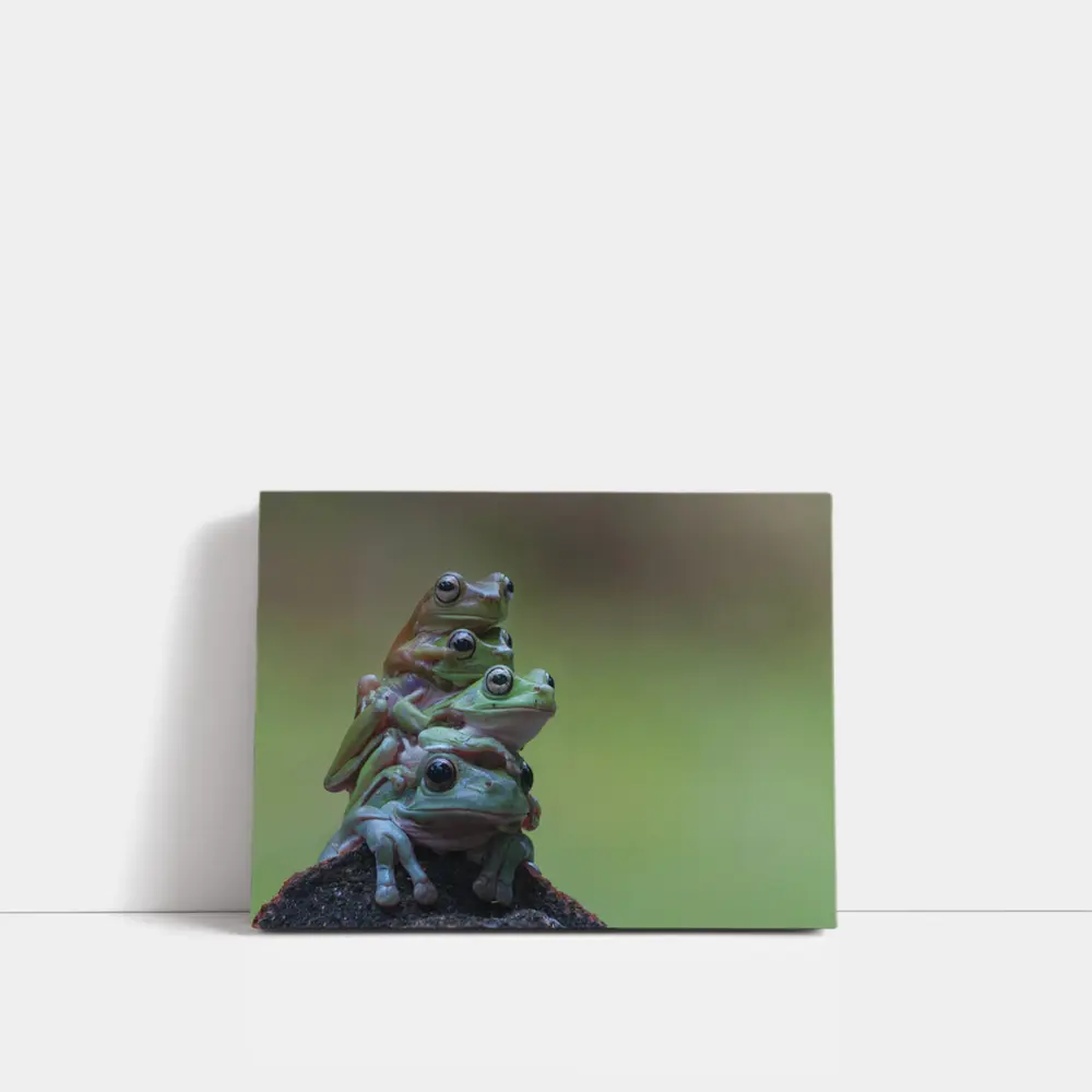 Three Green Tree Frogs Stacked Together – Wall Art