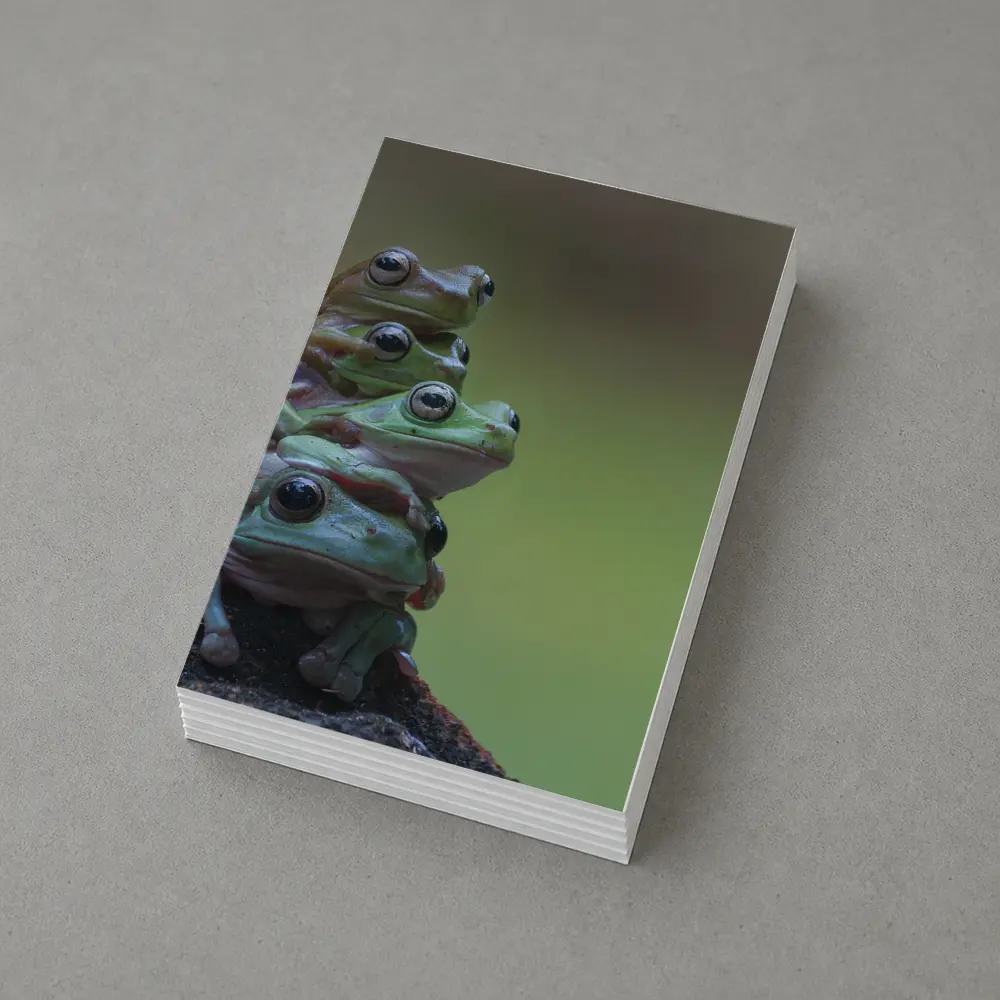 Three Green Tree Frogs Stacked Together – Postcards