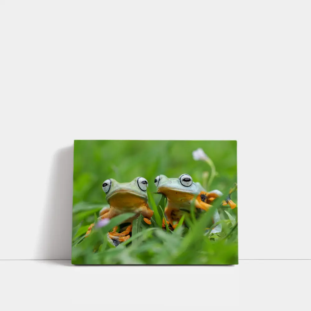 Two Tree Frogs Sitting in Green Grass – Wall Art