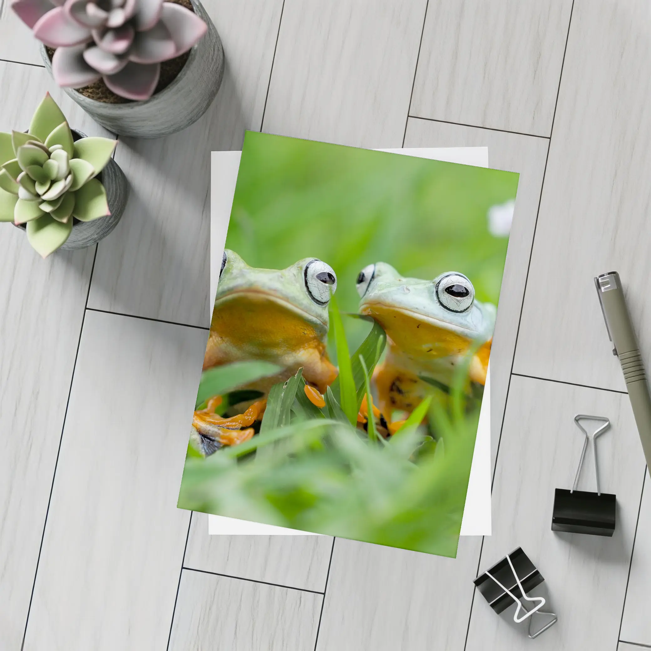 Two Tree Frogs Sitting in Green Grass – Postcards