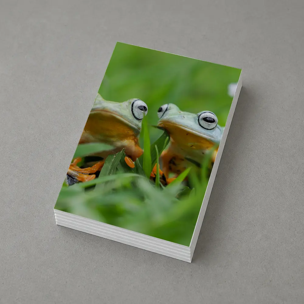 Two Tree Frogs Sitting in Green Grass – Postcards