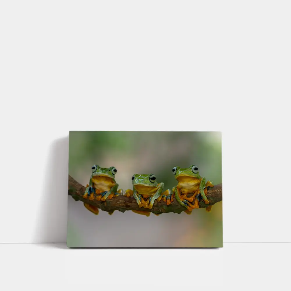 Three Green Tree Frogs On Branch – Wall Art