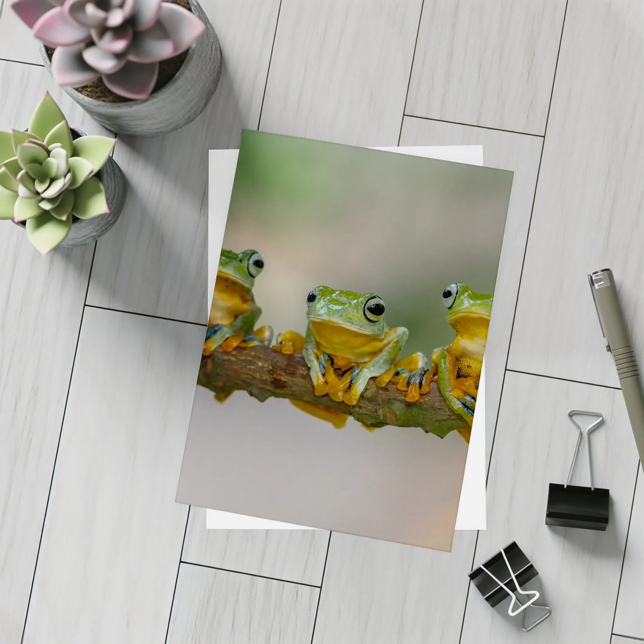 Three Green Tree Frogs On Branch – Postcards