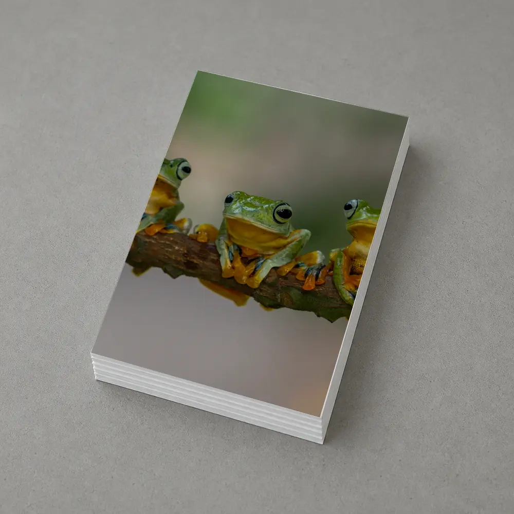 Three Green Tree Frogs On Branch – Postcards