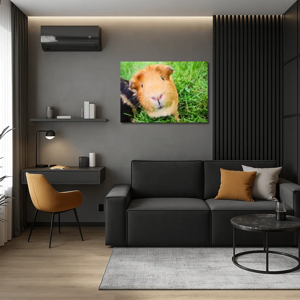 Guinea Pig Close Up Green Grass Background – Wall Art