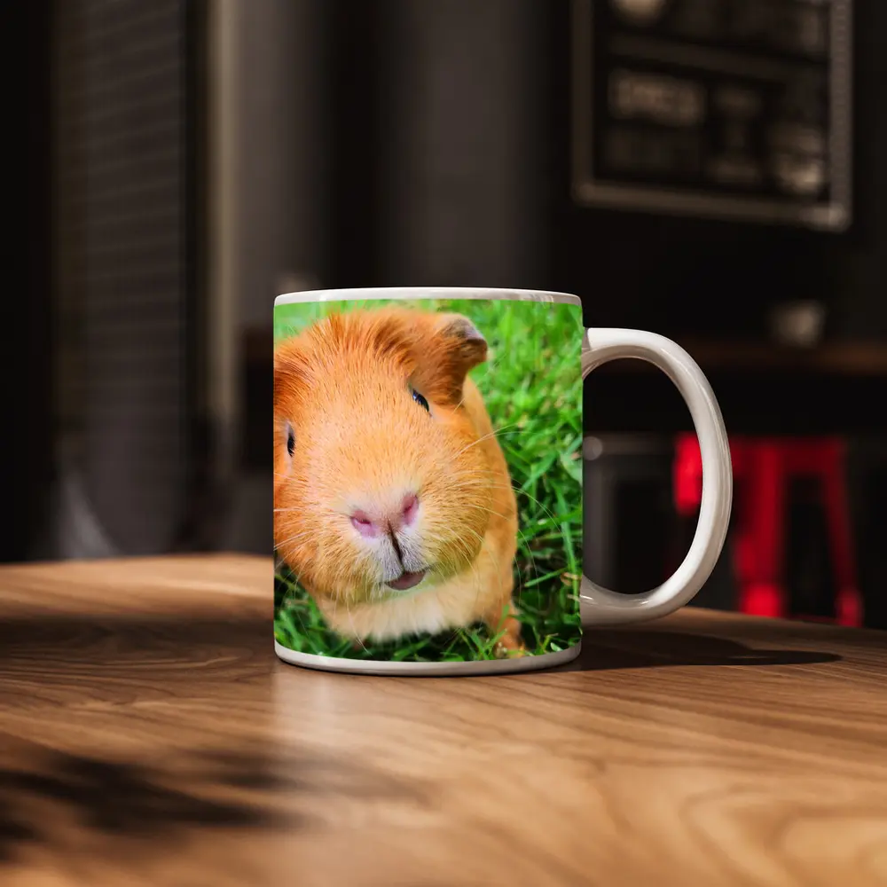 Guinea Pig Close Up Green Grass Background – Mugs