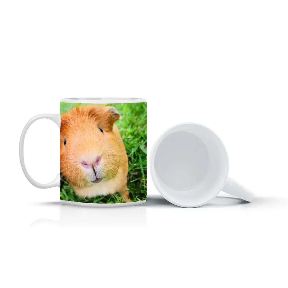 Guinea Pig Close Up Green Grass Background – Mugs