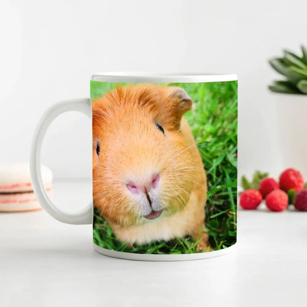 Guinea Pig Close Up Green Grass Background – Mugs