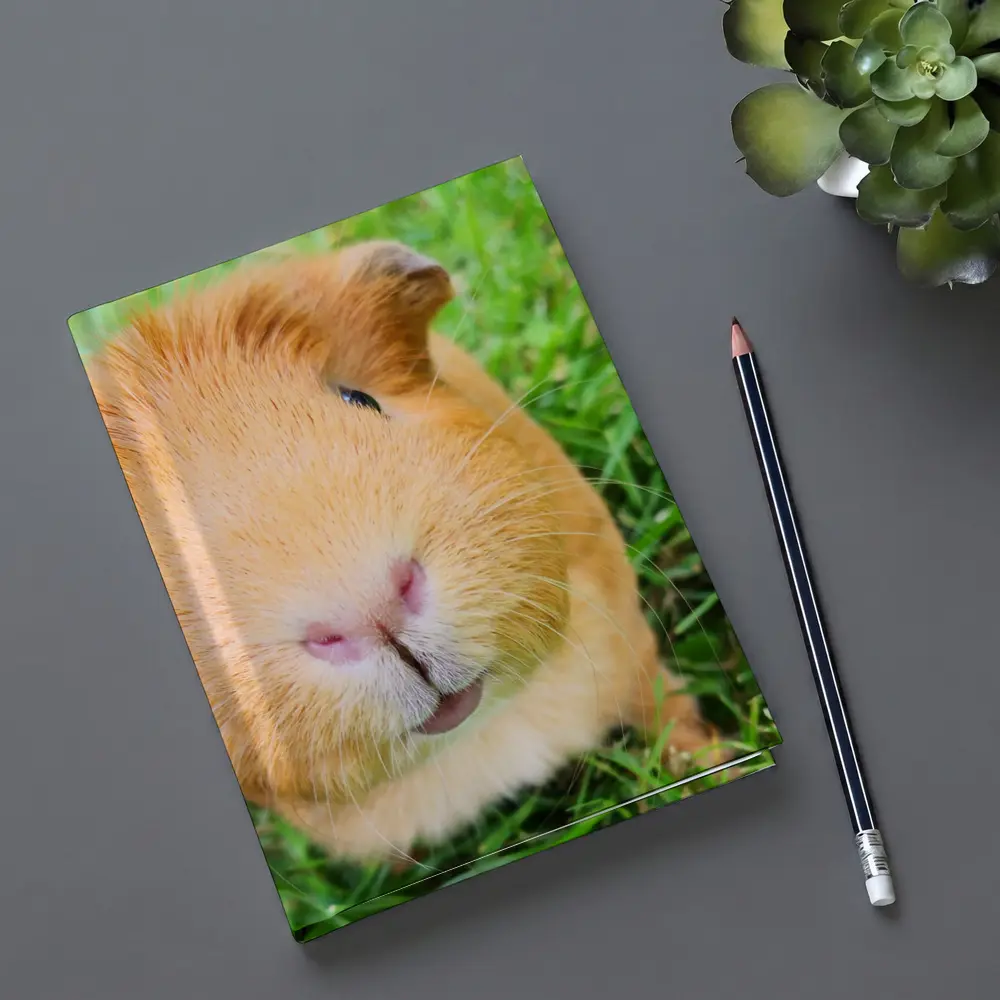 Guinea Pig Close Up Green Grass Background – Notebooks
