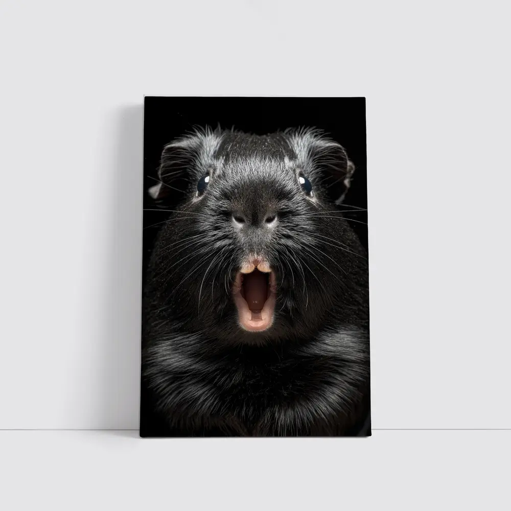 Black Guinea Pig Open Mouth Dark Background – Wall Art