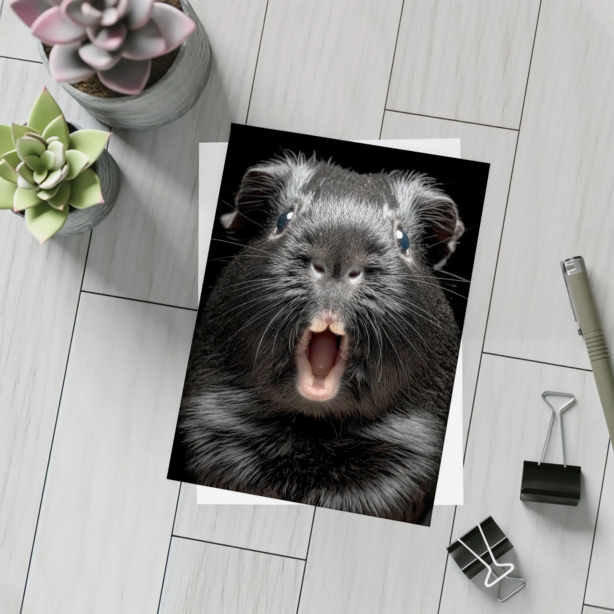 Black Guinea Pig Open Mouth Dark Background – Postcards