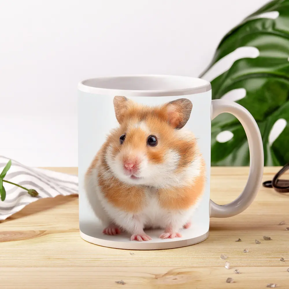 Fluffy Syrian Hamster On White Background – Mugs