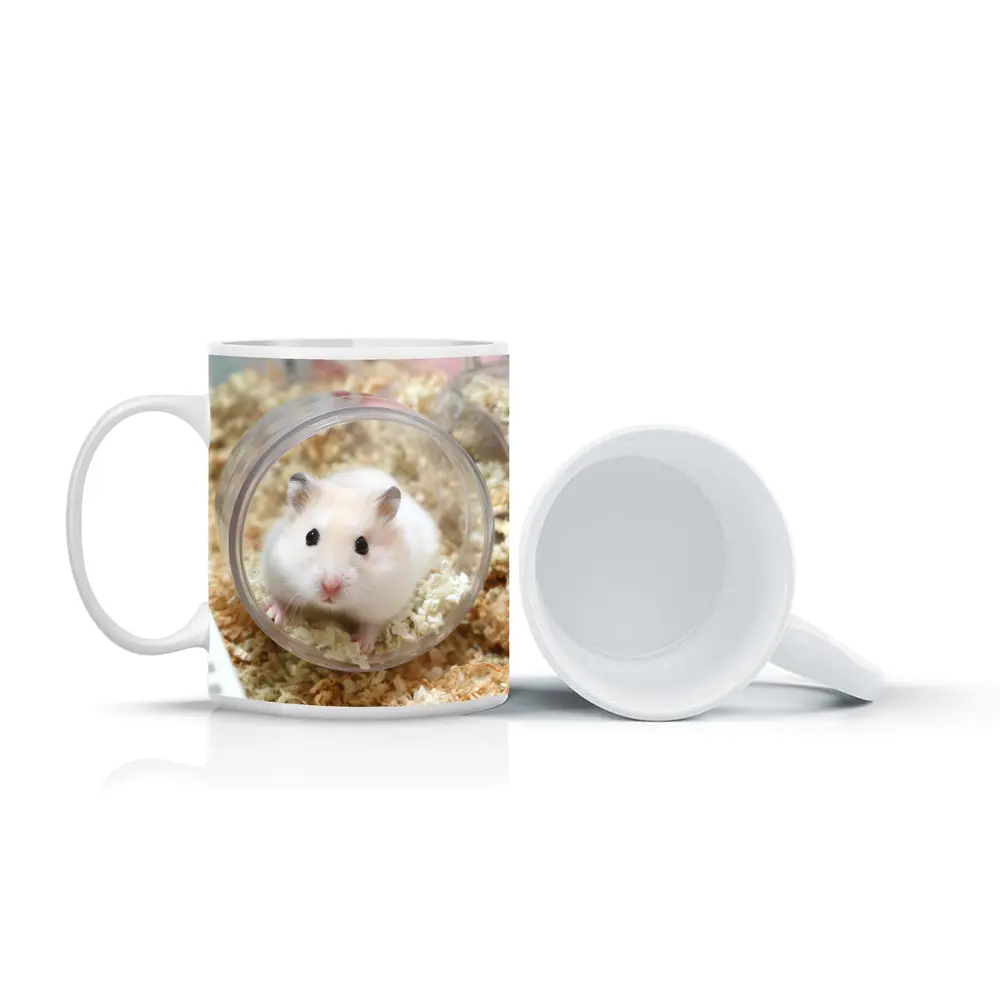 White Hamster Sitting Inside Clear Ball – Mugs