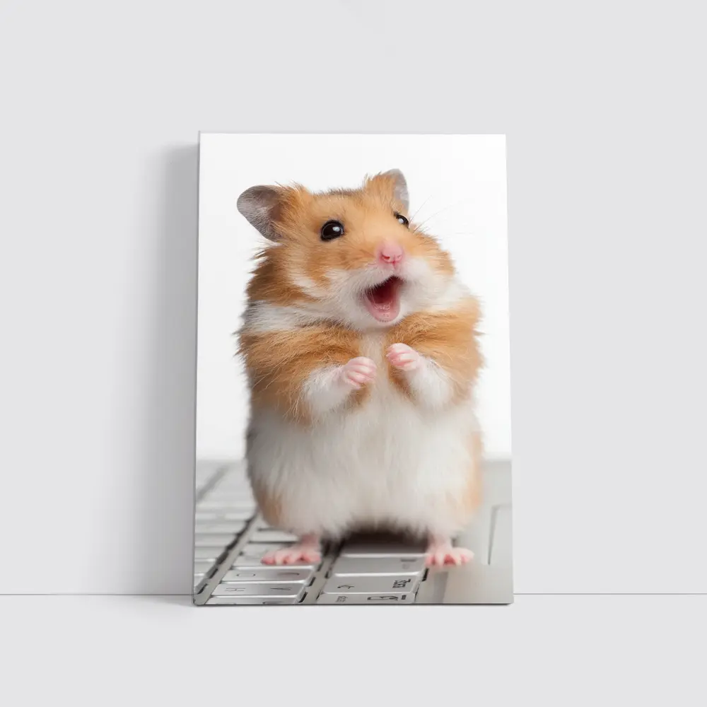 Surprised Hamster Standing On Keyboard White – Wall Art