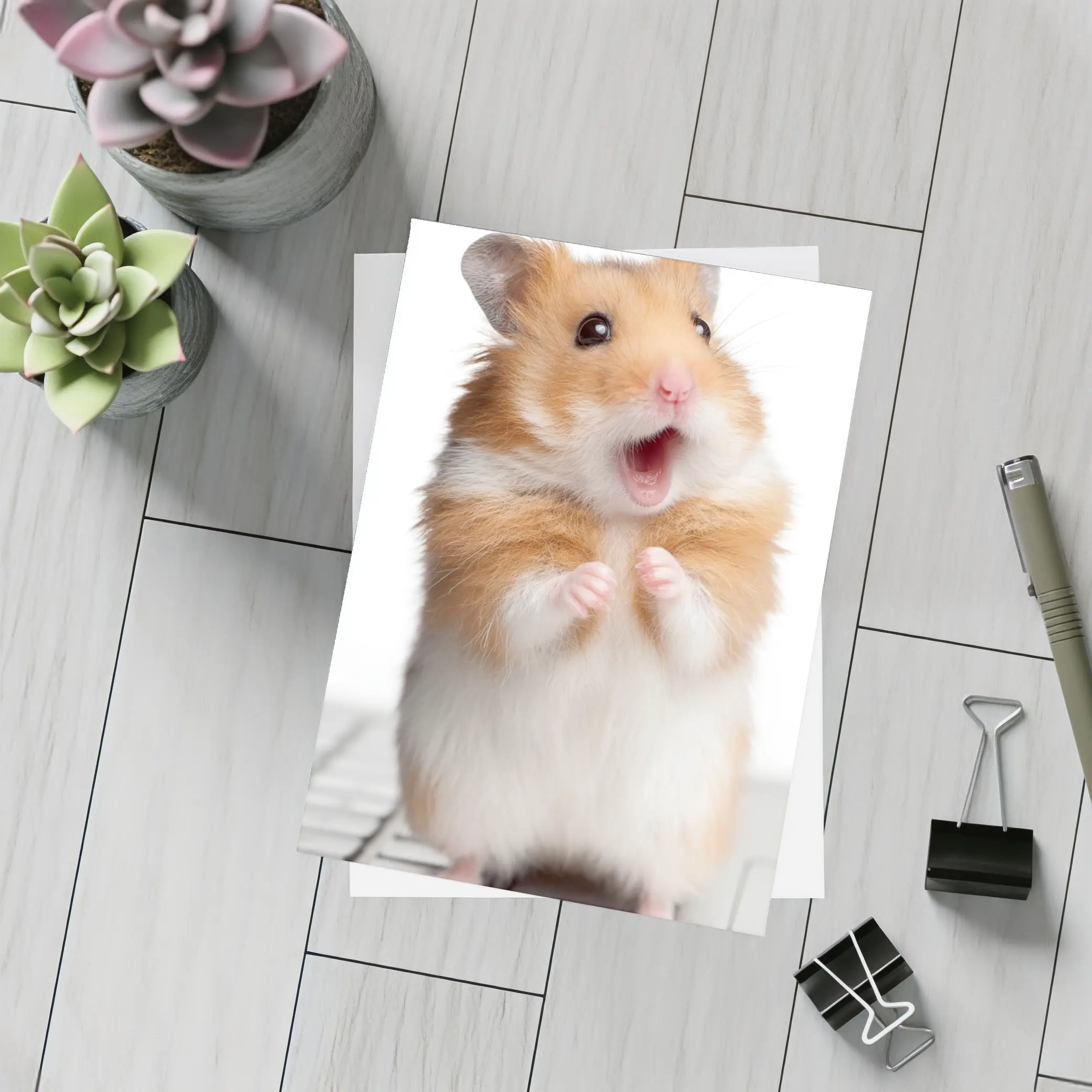 Surprised Hamster Standing On Keyboard White – Postcards