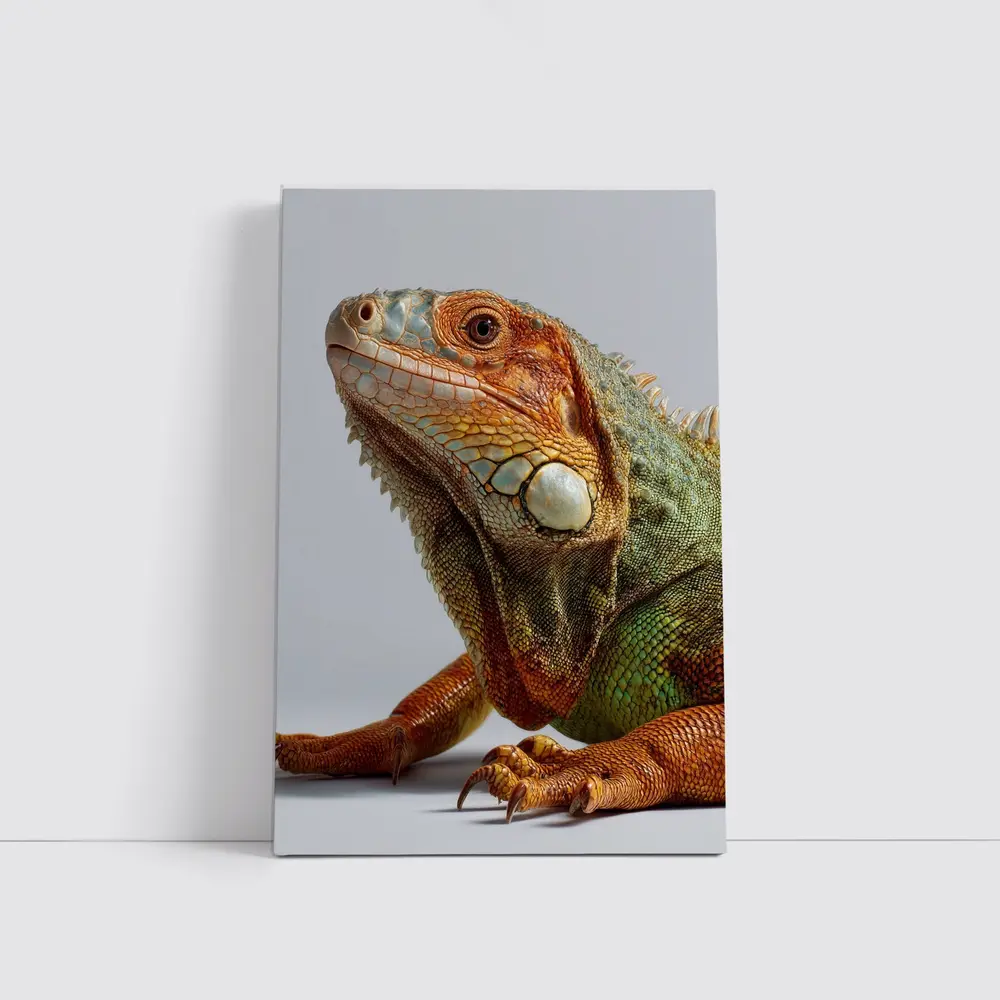 Green Iguana Close Up Gray Background – Wall Art