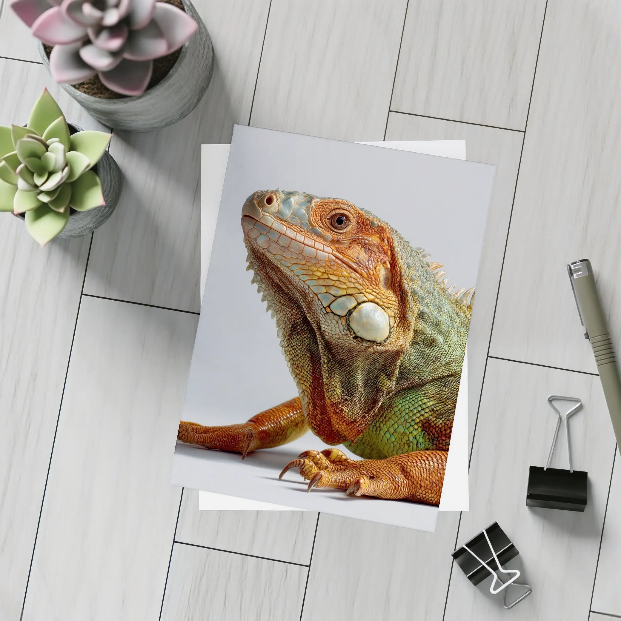 Green Iguana Close Up Gray Background – Postcards