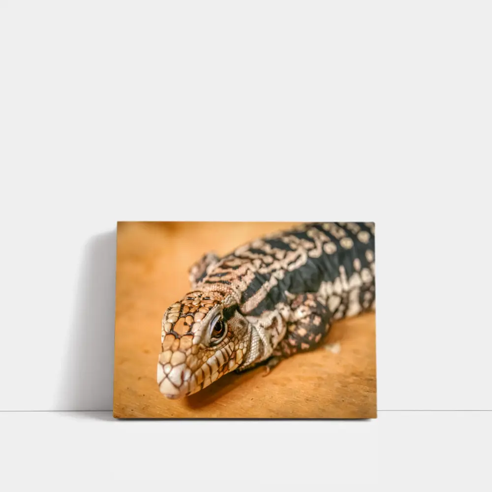 Argentine Black White Tegu Lizard Wood – Wall Art