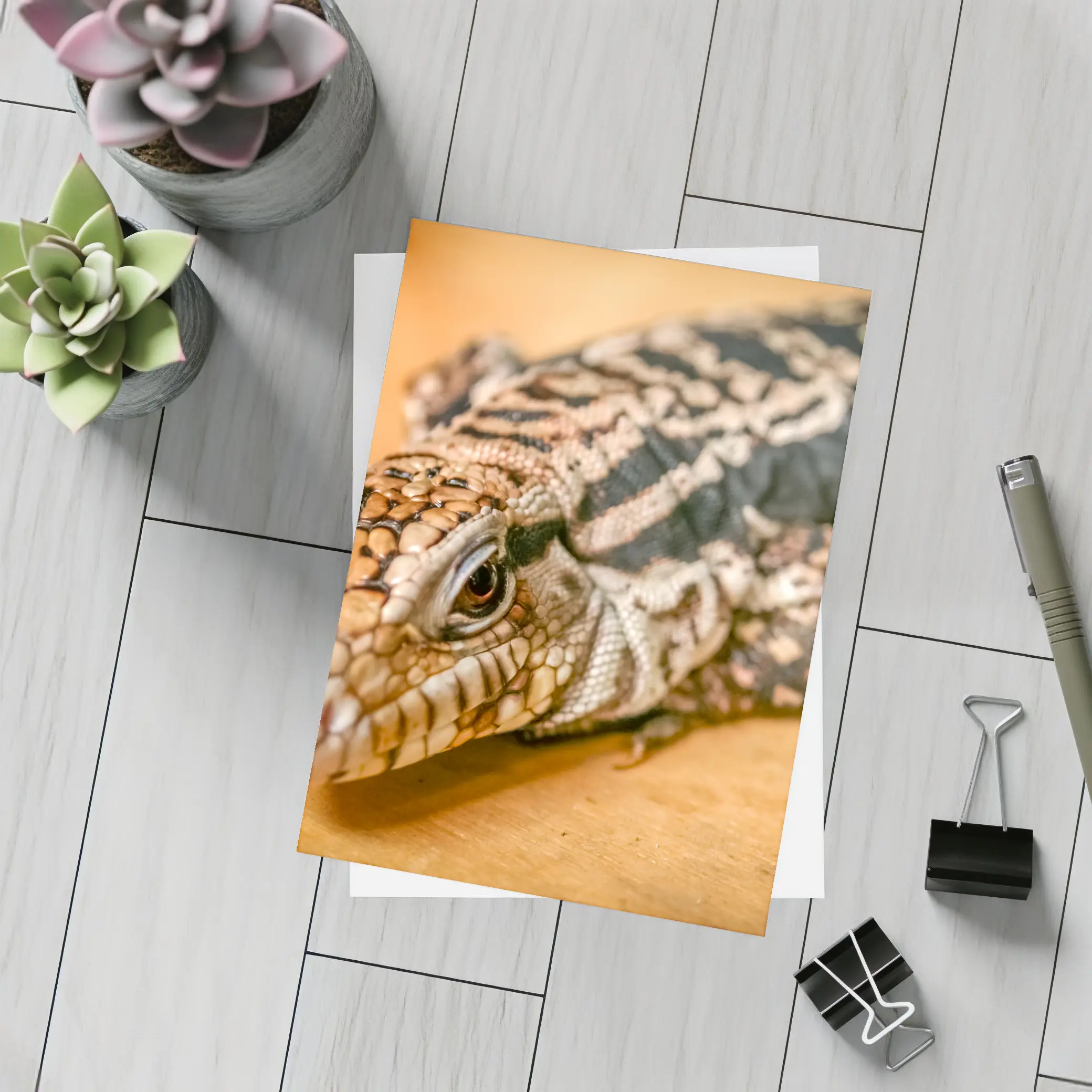 Argentine Black White Tegu Lizard Wood – Postcards