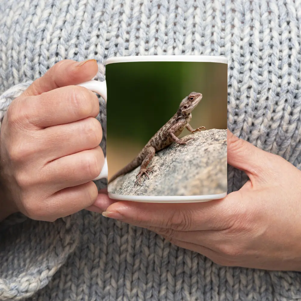 Brown Lizard Perched On Rock Outdoors – Mugs