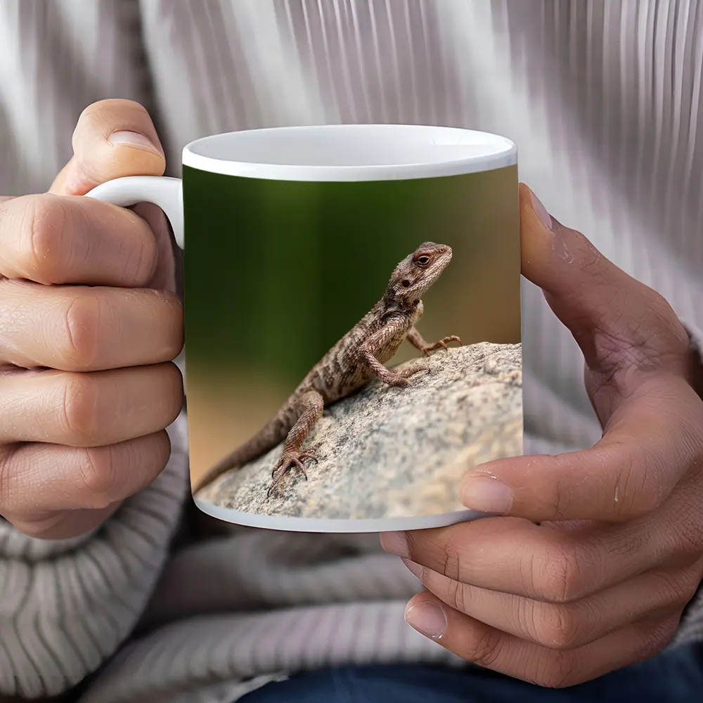 Brown Lizard Perched On Rock Outdoors – Mugs