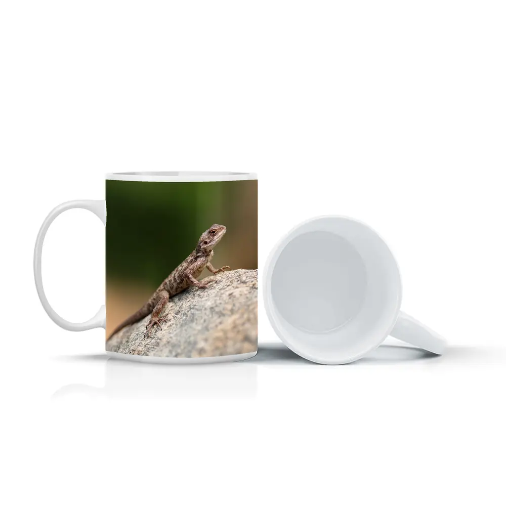 Brown Lizard Perched On Rock Outdoors – Mugs