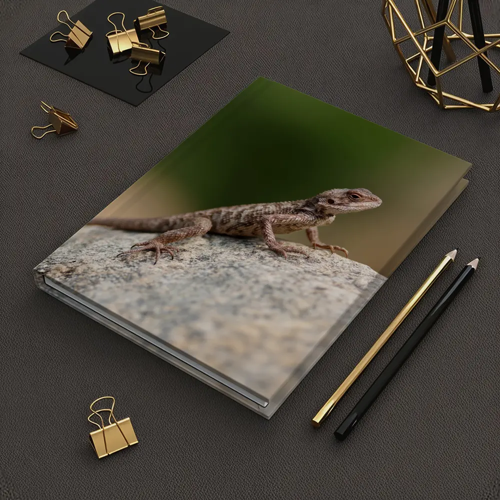 Brown Lizard Perched On Rock Outdoors – Notebooks