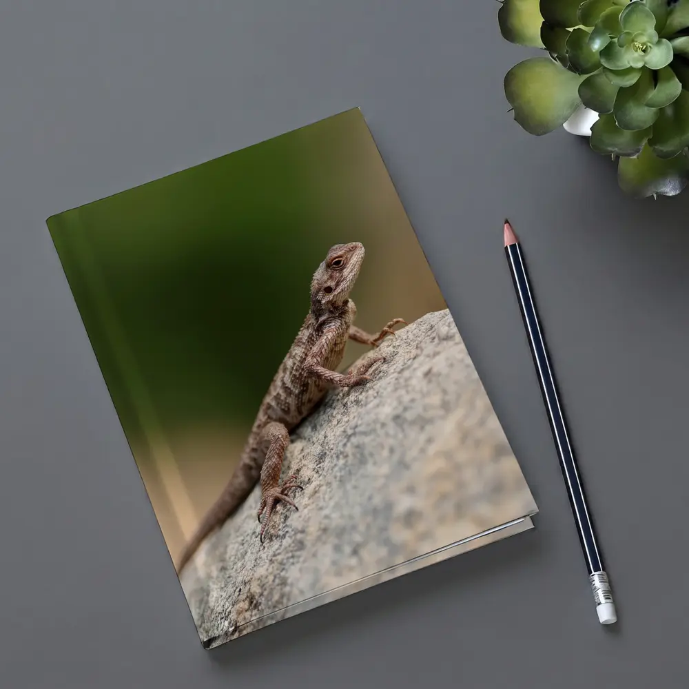 Brown Lizard Perched On Rock Outdoors – Notebooks