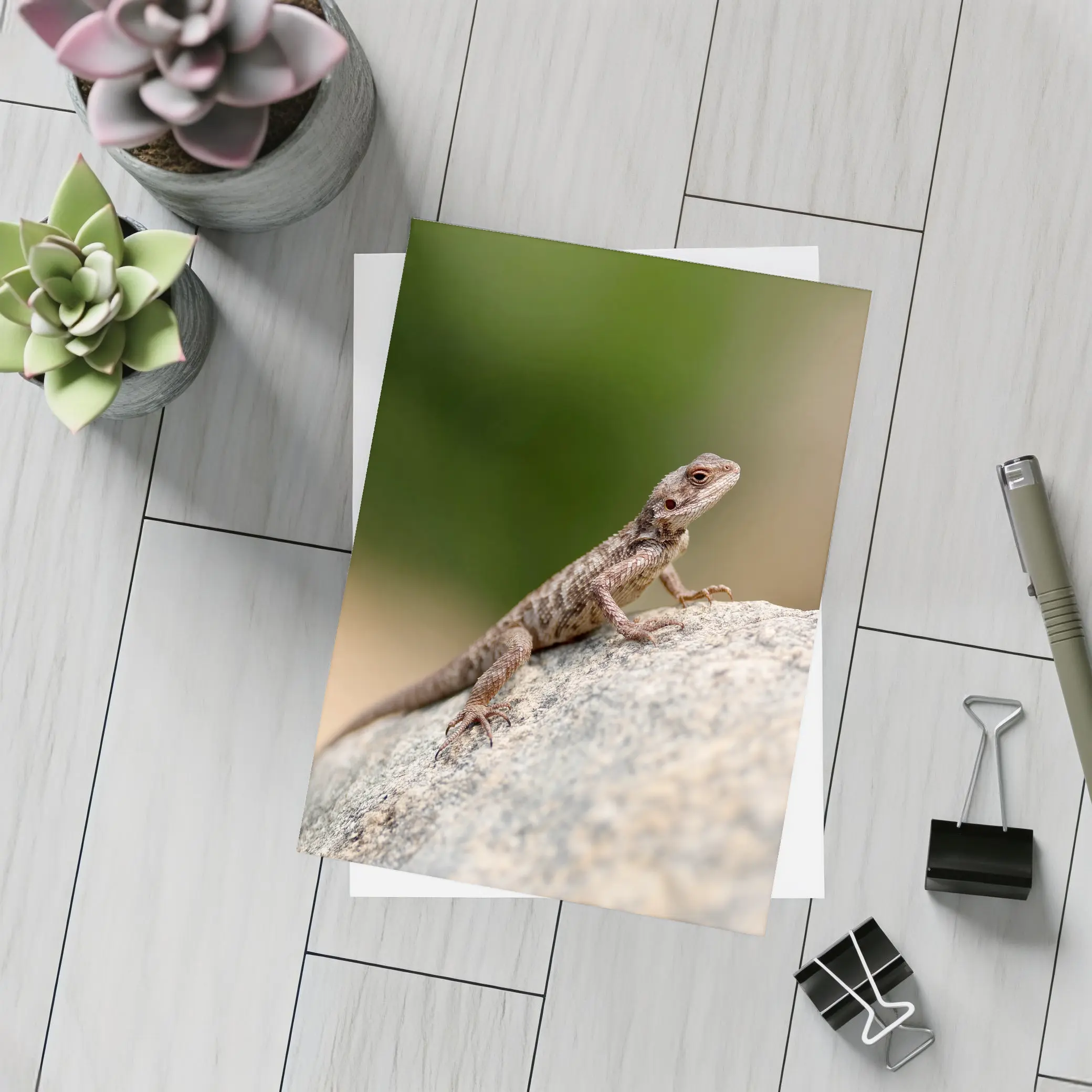 Brown Lizard Perched On Rock Outdoors – Postcards