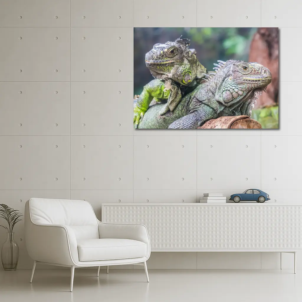 Two Green Iguanas Resting on Wood – Wall Art