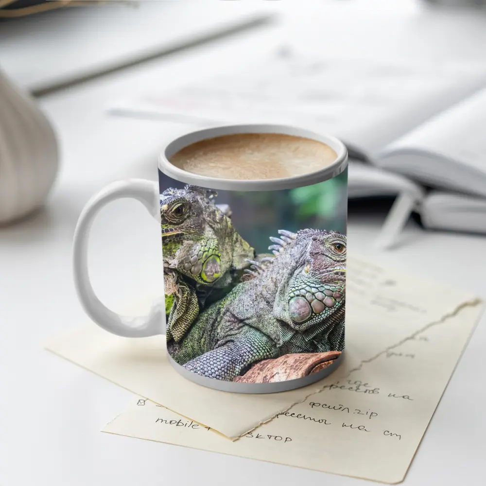 Two Green Iguanas Resting on Wood – Mugs