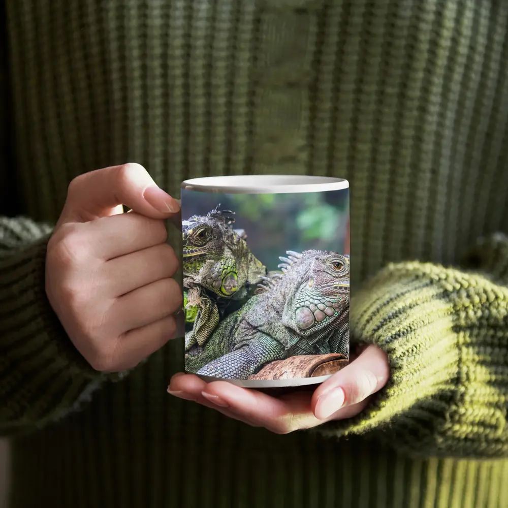 Two Green Iguanas Resting on Wood – Mugs