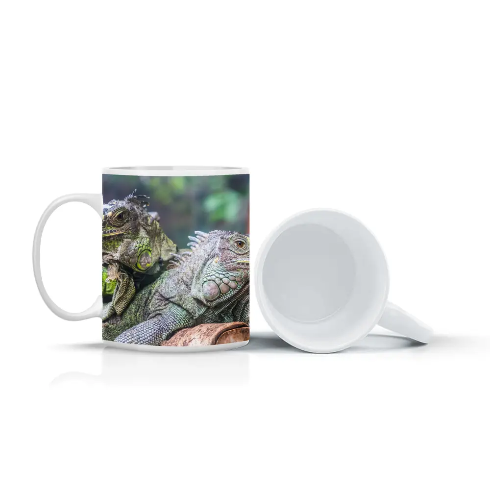 Two Green Iguanas Resting on Wood – Mugs