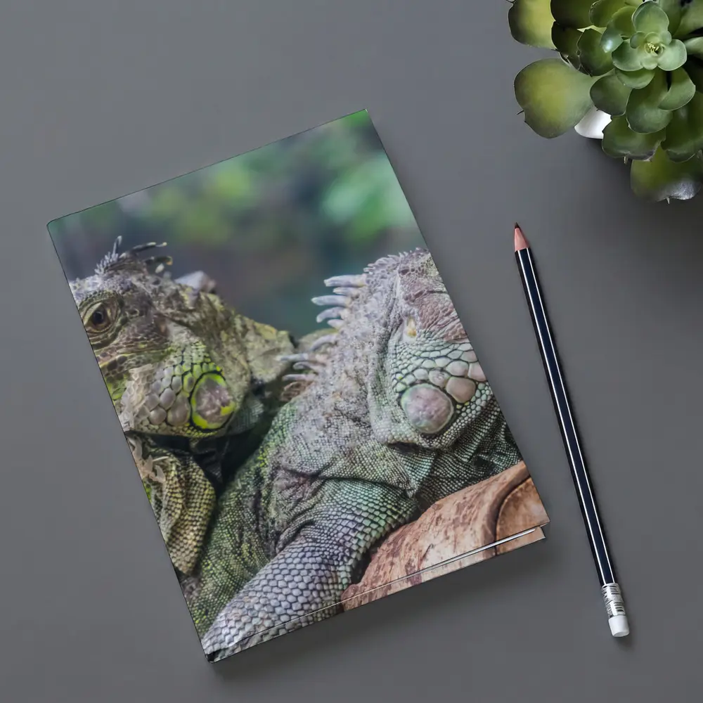 Two Green Iguanas Resting on Wood – Notebooks