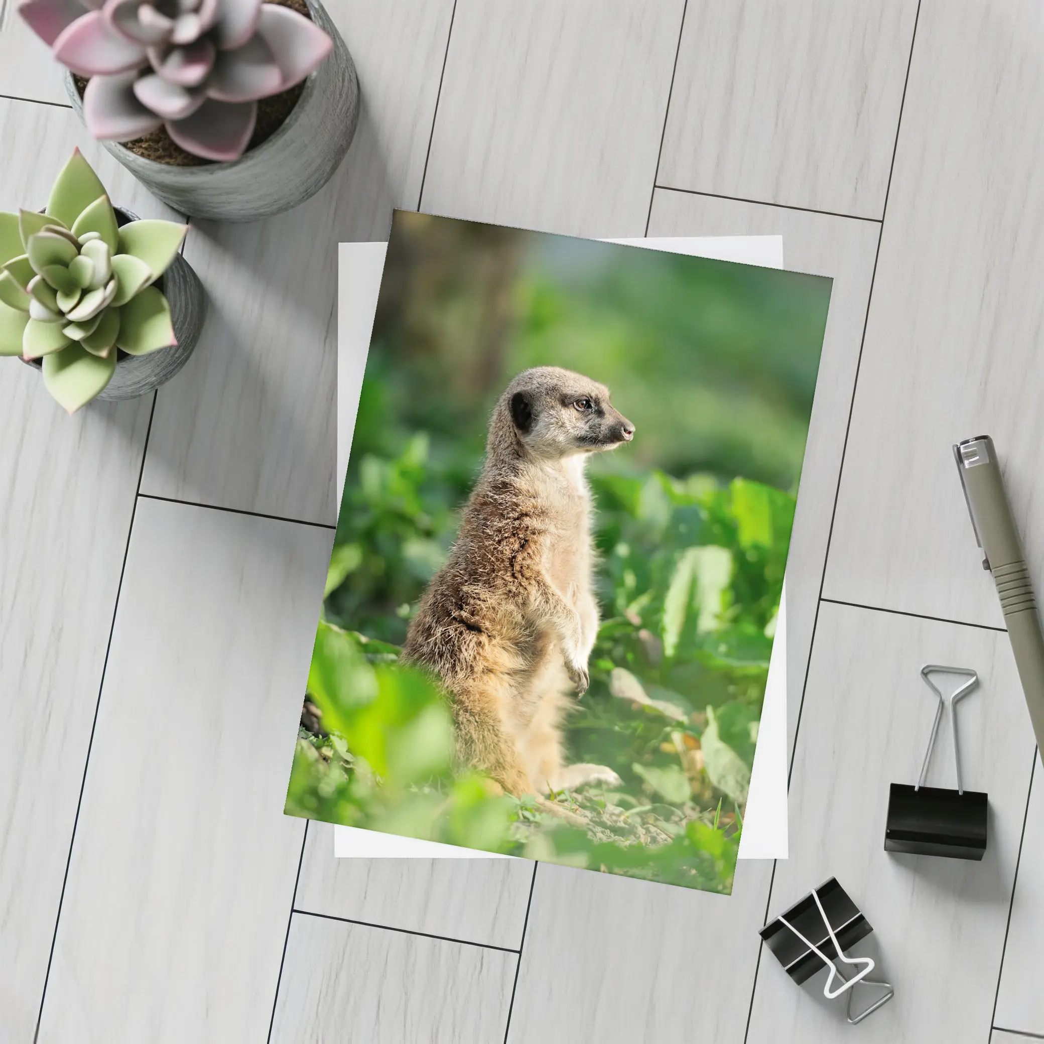 Meerkat Standing Alert In Green Foliage – Postcards