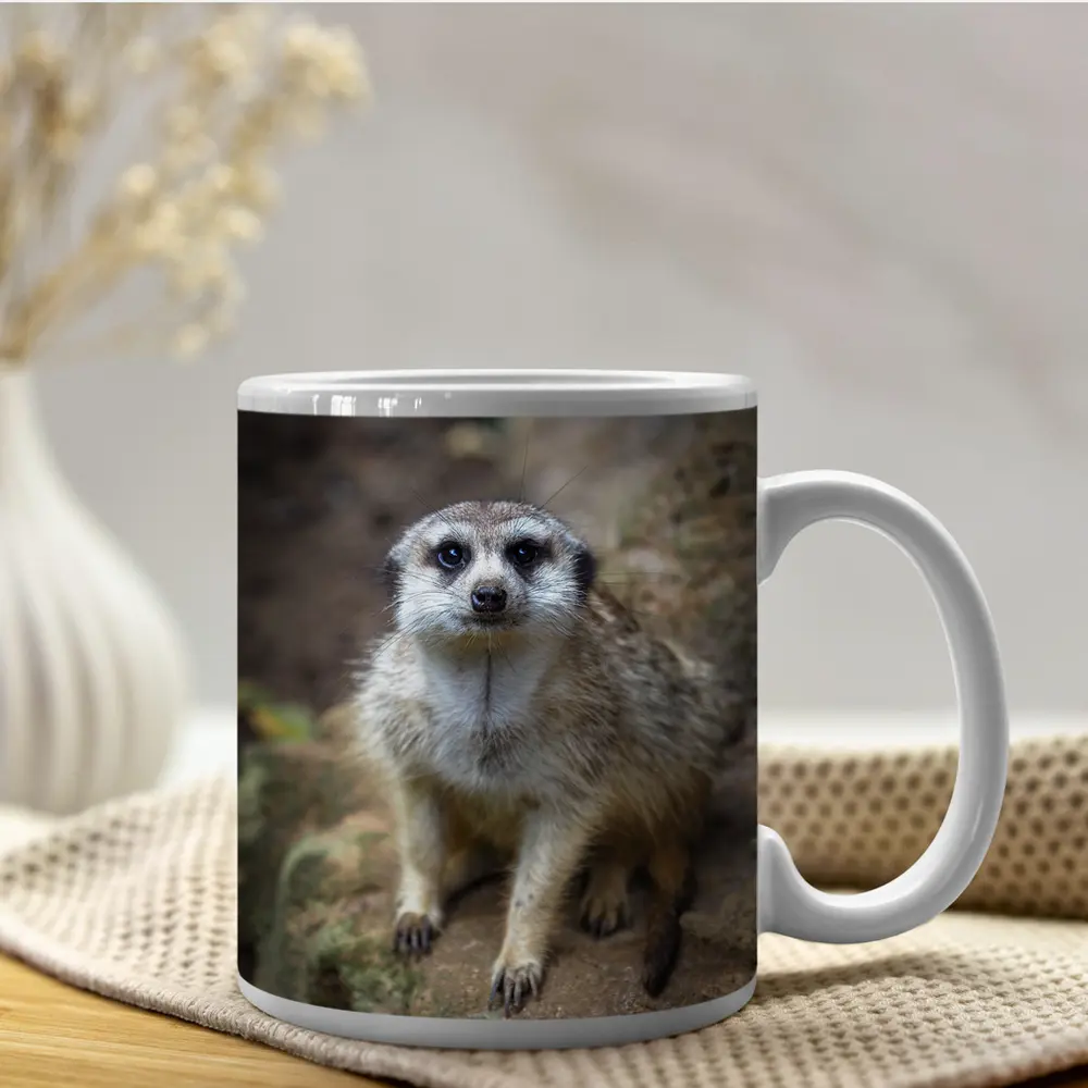Meerkat Portrait Rocky Natural Habitat Background – Mugs