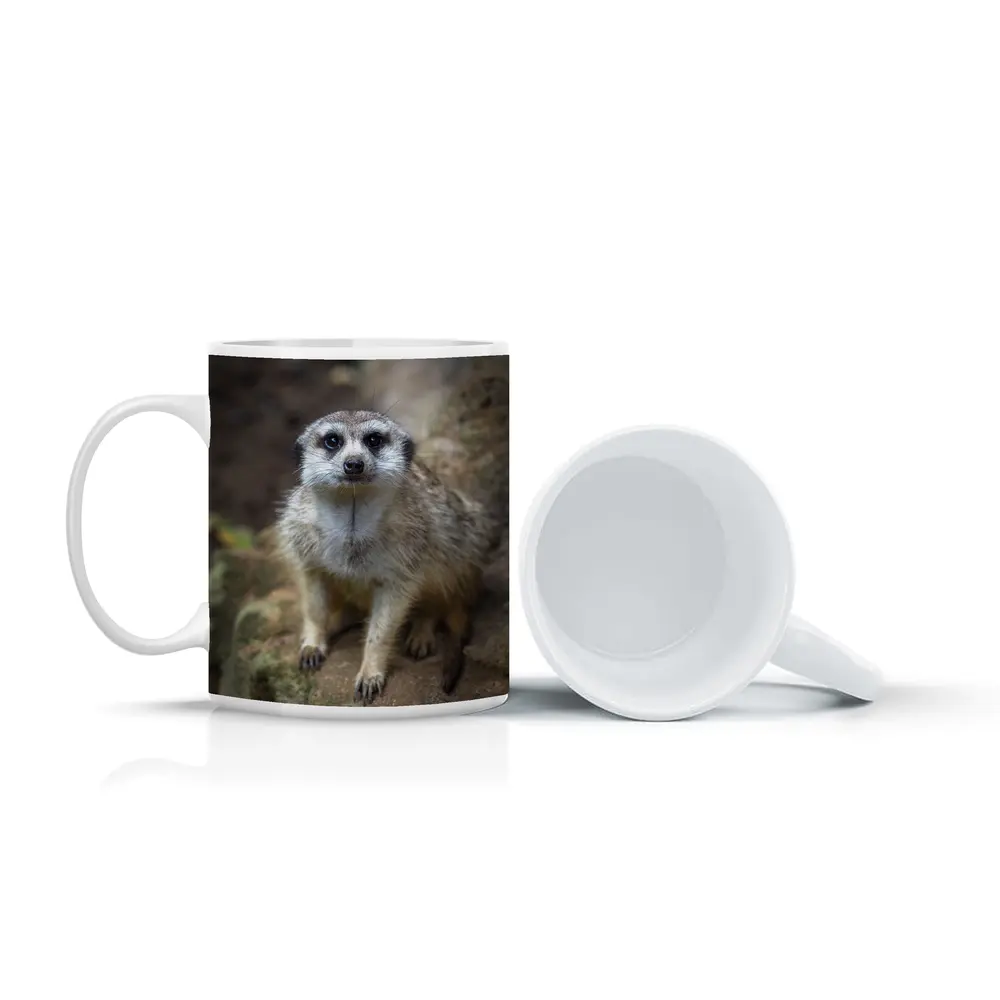 Meerkat Portrait Rocky Natural Habitat Background – Mugs