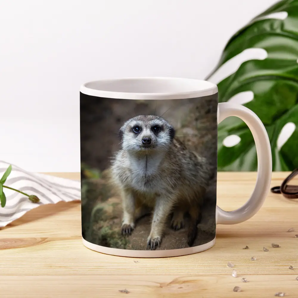 Meerkat Portrait Rocky Natural Habitat Background – Mugs