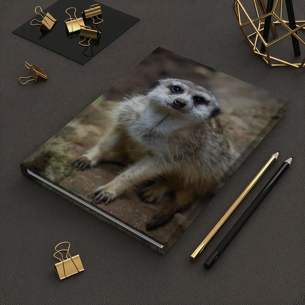 Meerkat Portrait Rocky Natural Habitat Background – Notebooks