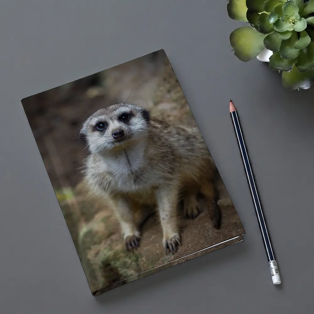 Meerkat Portrait Rocky Natural Habitat Background – Notebooks