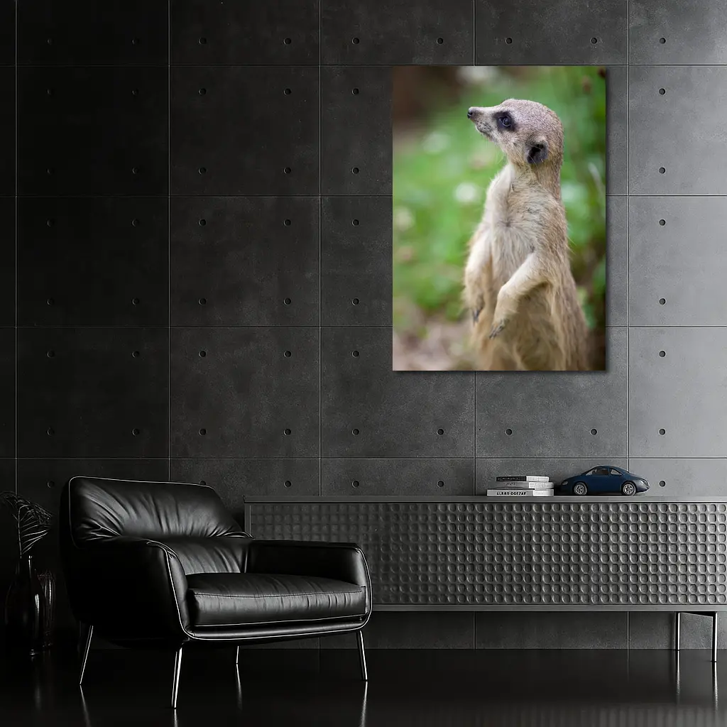 Meerkat Standing Alert Green Nature Background – Wall Art