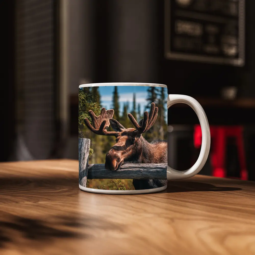 Bull Moose Resting on Wooden Fence Forest – Mugs